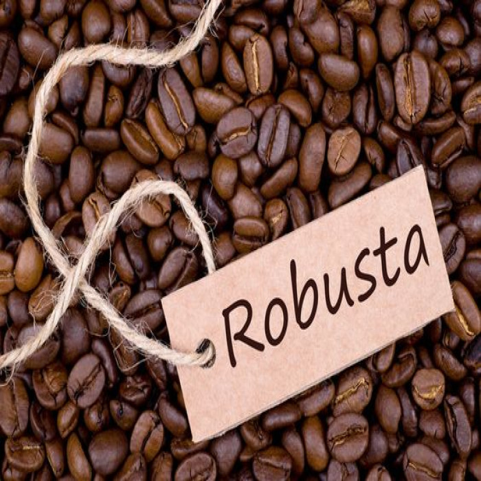 COFFEE ROBUSTA HẠT